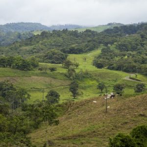 Costa Rica, une destination de choix pour les amoureux de la nature