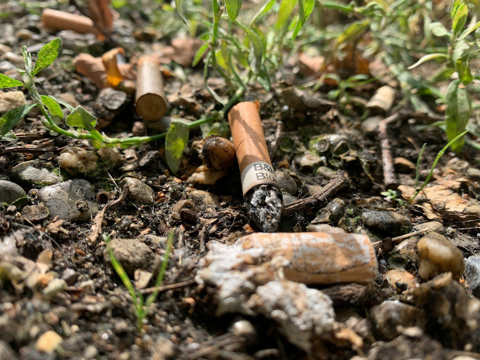 pollution des sols